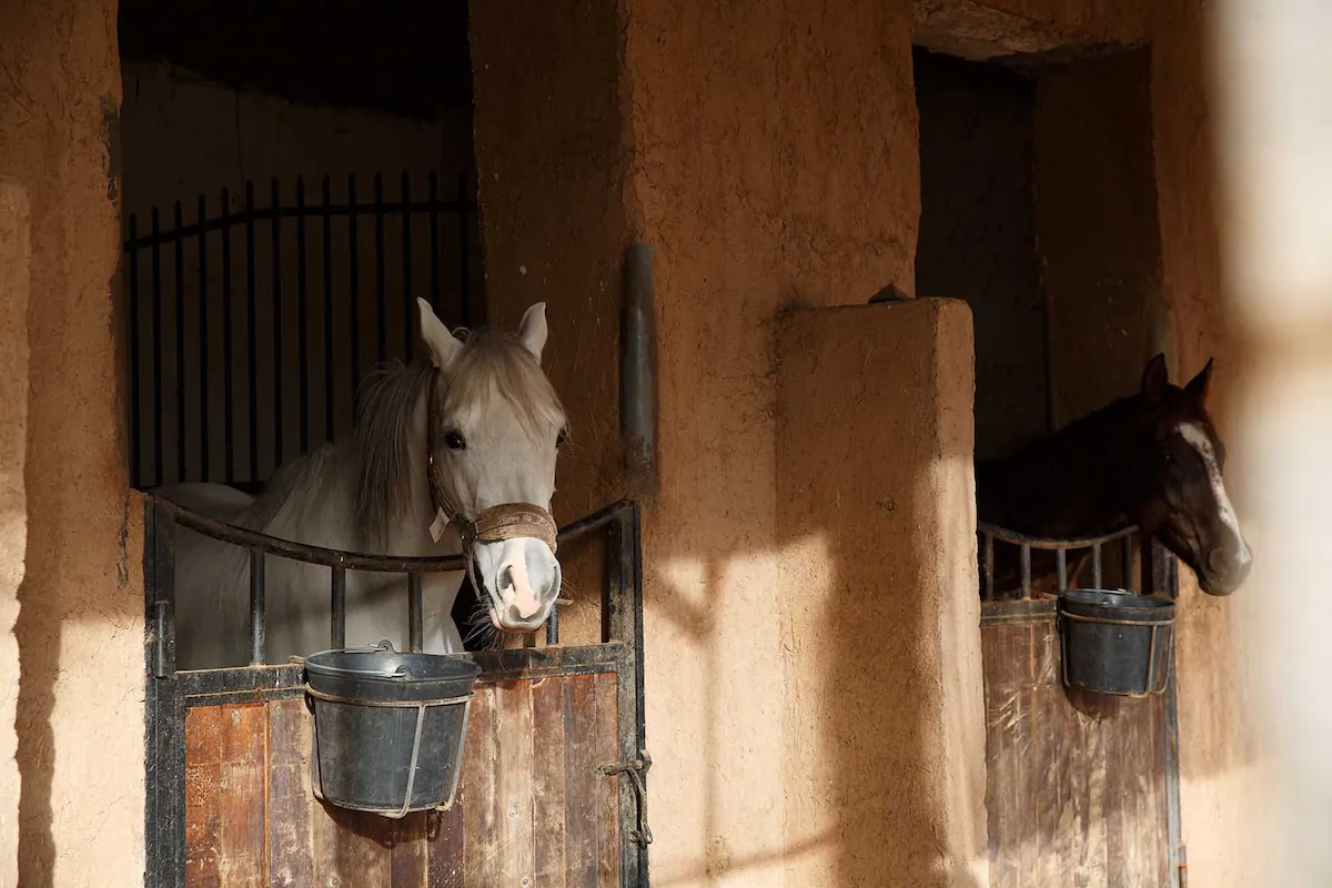 Traditional Architecture